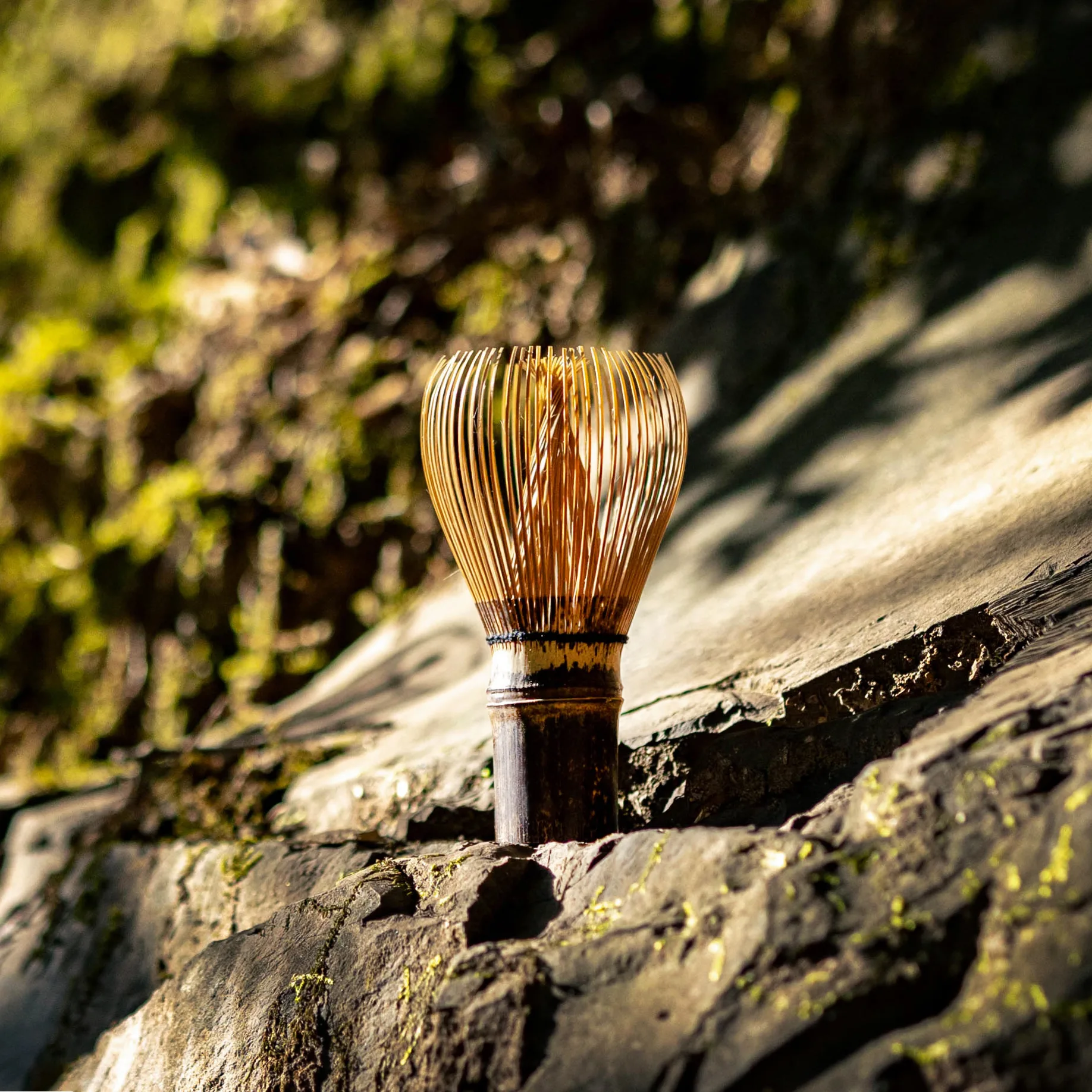 Shin-style bamboo matcha whisk (chasen) with 64 tines, made from aged black bamboo